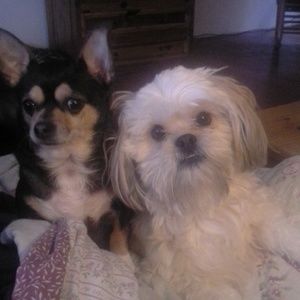 Meet your Posher, Jessica